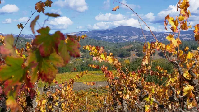 $2,495,000 | 8983 West Dry Creek Road, Healdsburg, CA 95448