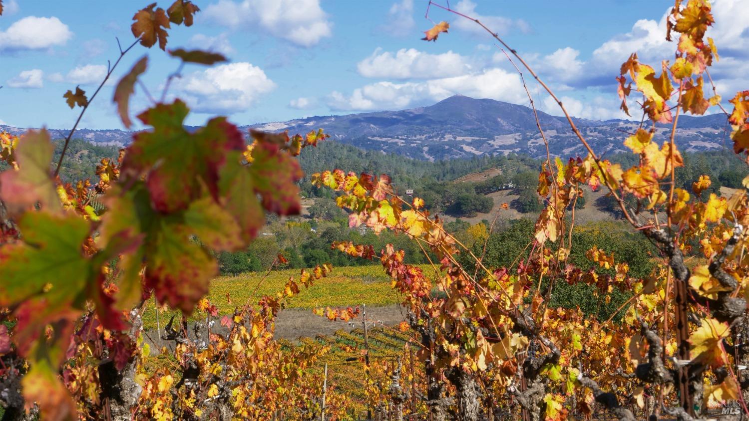 8983 West Dry Creek Road Healdsburg, CA 95448 - Photo 28 of 35