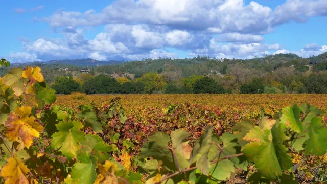 $2,495,000 | 8983 West Dry Creek Road, Healdsburg, CA 95448