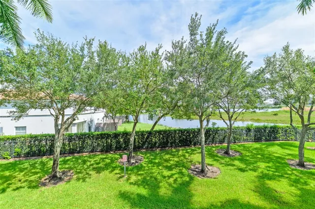a view of green field with plants and trees