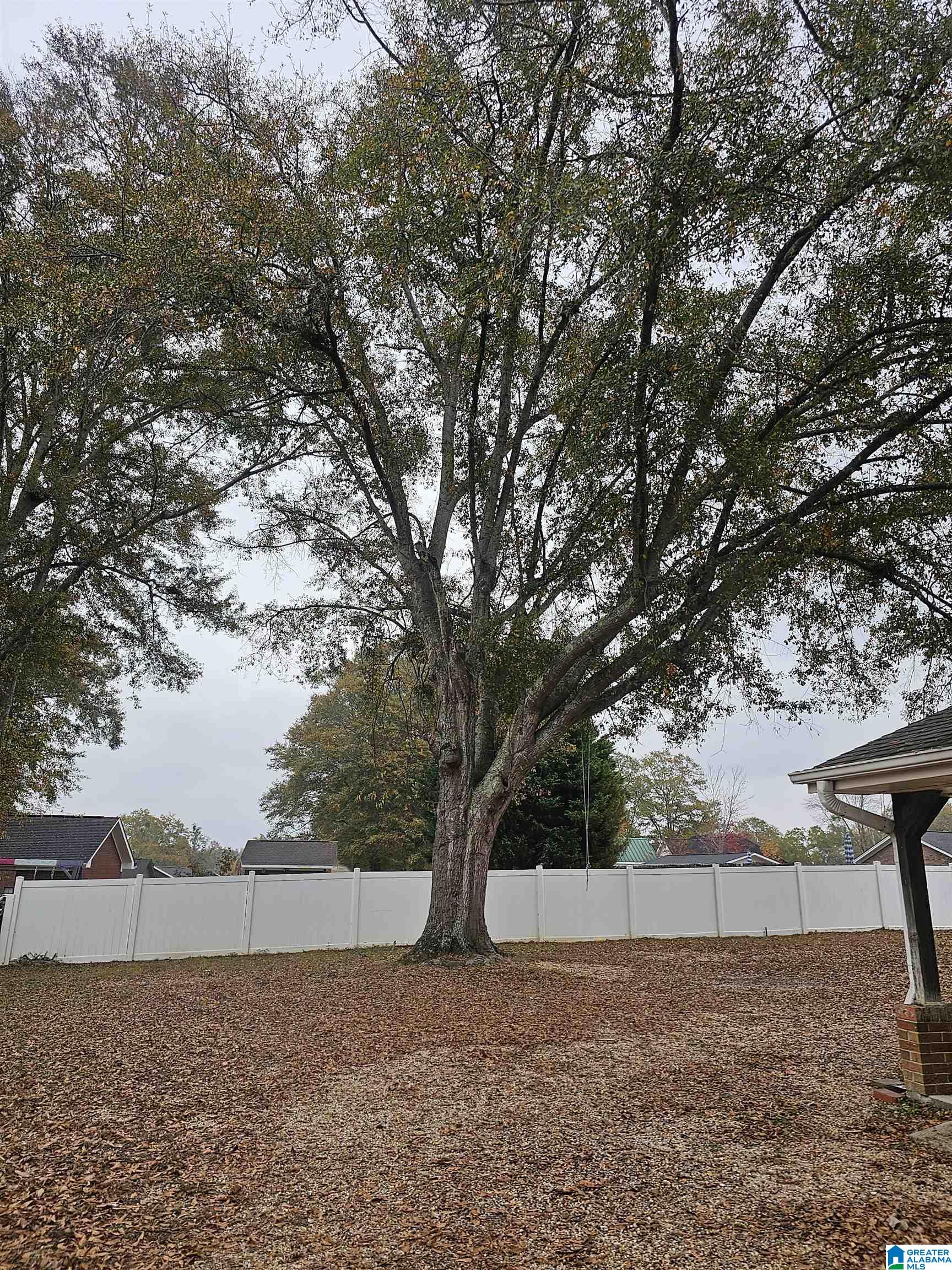 310 Thrash Road Clanton, AL 35045 - Photo 19 of 19