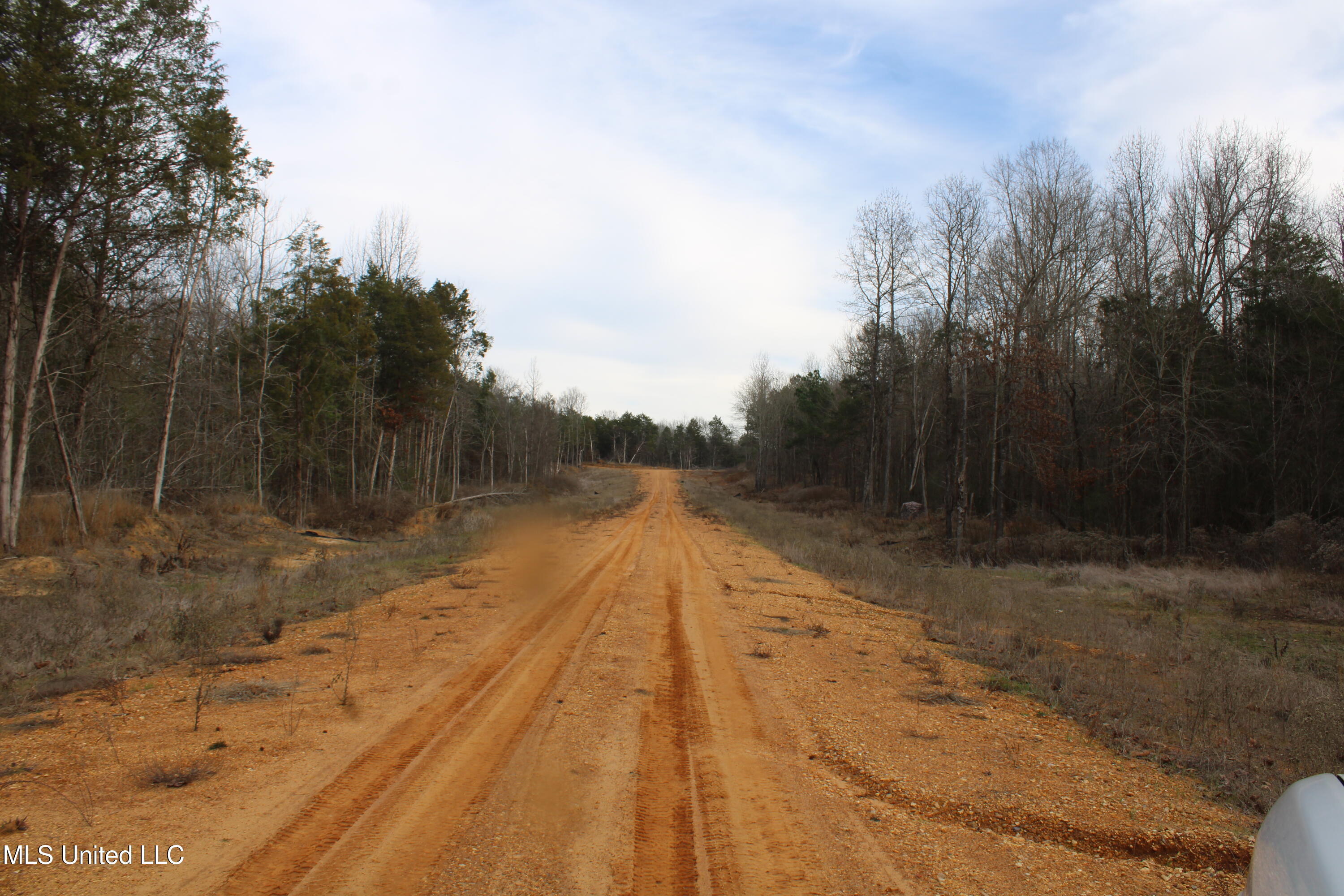 3466 Bethel Road Olive Branch, MS 38654 - Photo 24 of 86 IMG_7114