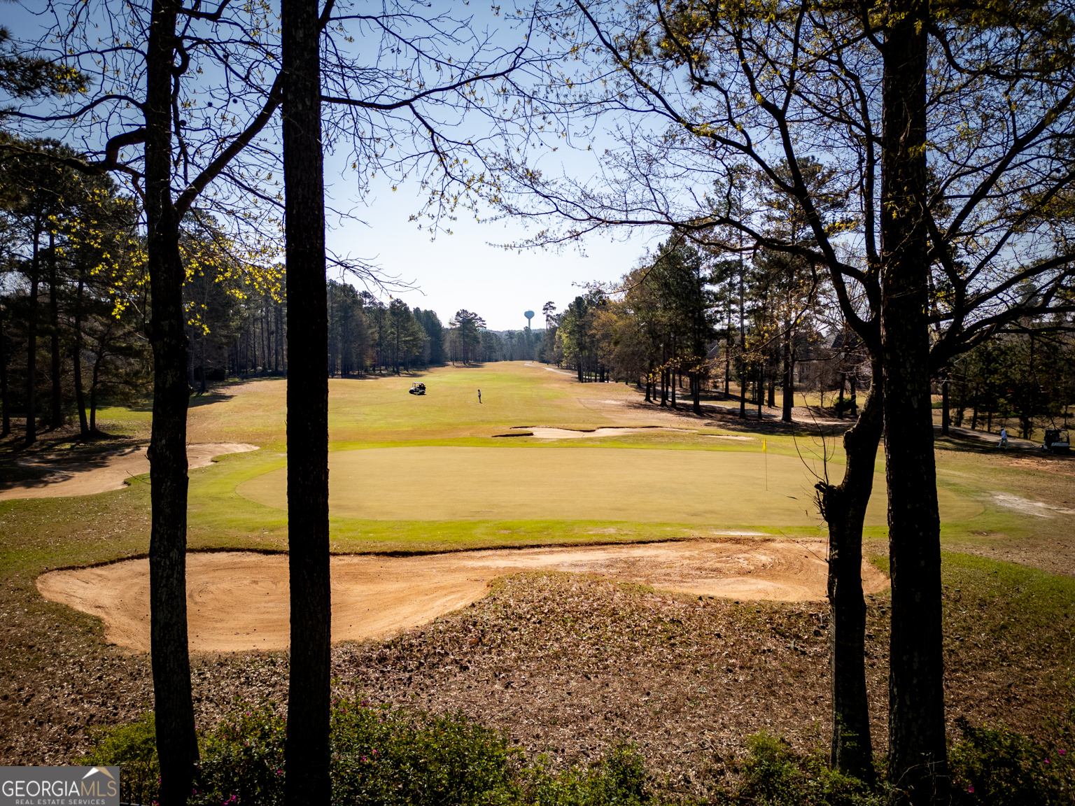 6012 Golf View Crossing Locust Grove, GA 30248 - Photo 50 of 60