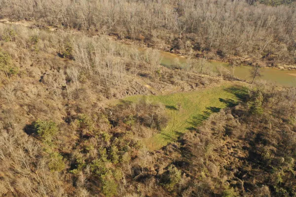 a view of a yard