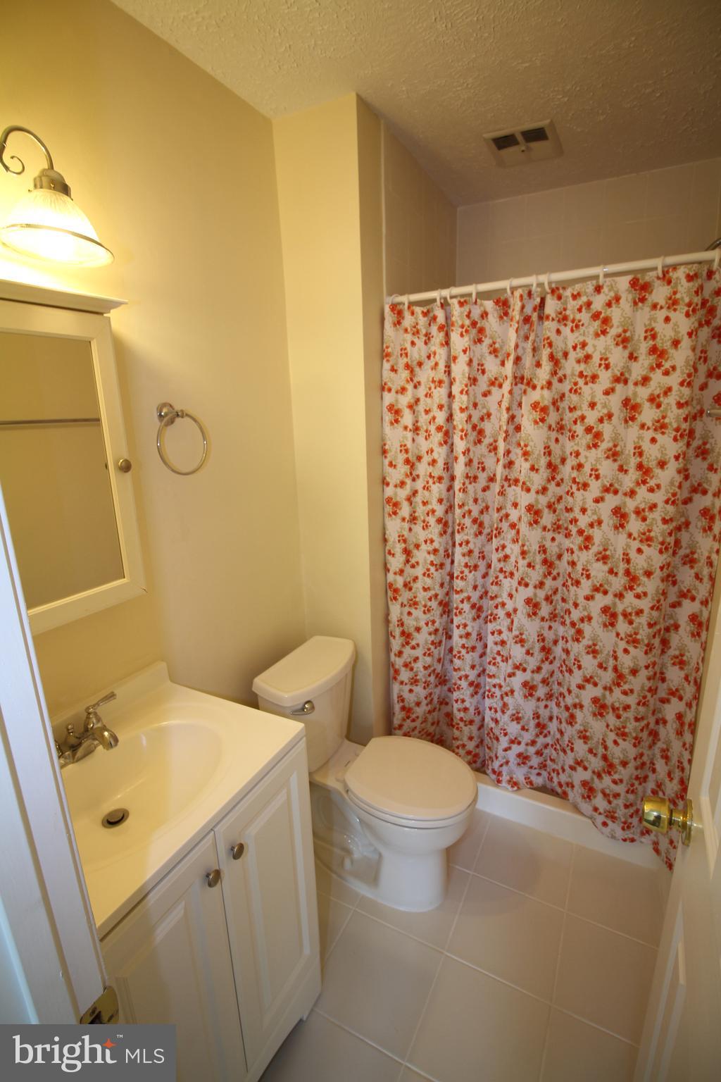 17446 Hoskinson Road Poolesville, MD 20837 - Photo 18 of 22 Bath (Master)