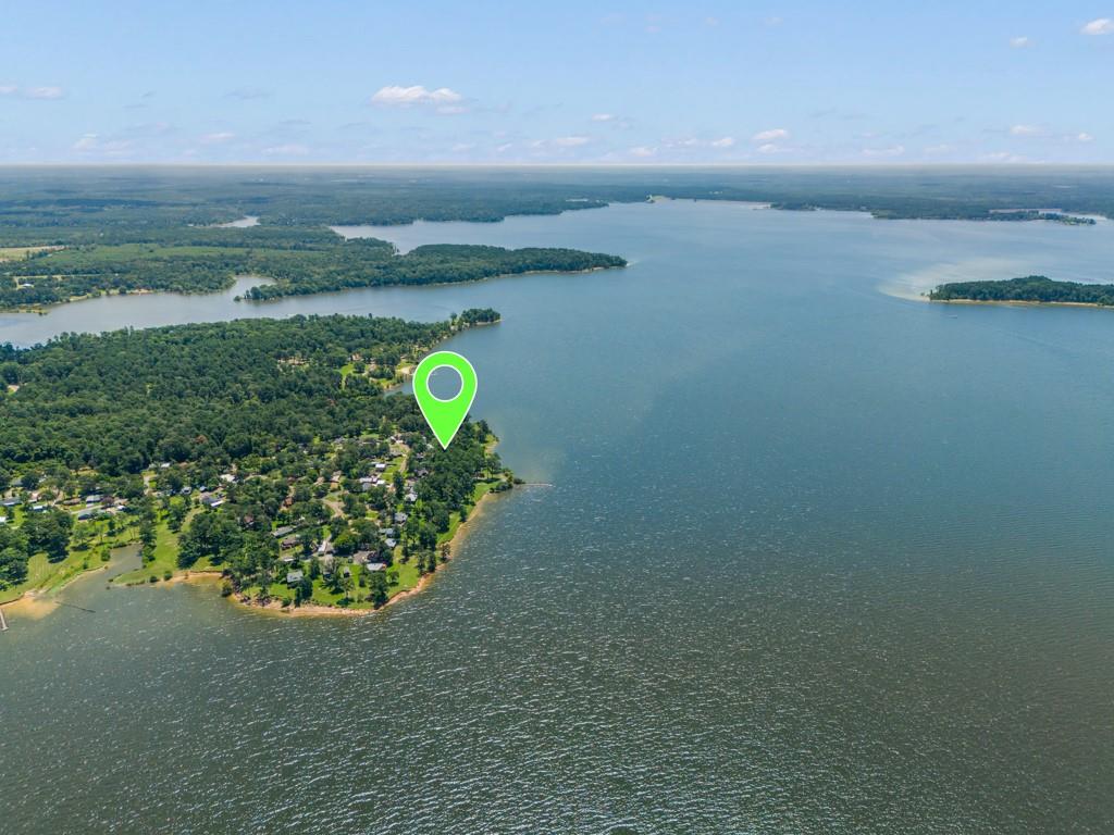 263 Crestwood Loop Avinger, TX 75630 - Photo 12 of 40 a view of a lake