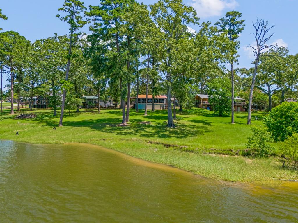 263 Crestwood Loop Avinger, TX 75630 - Photo 35 of 40 a view of a golf course with a lake view