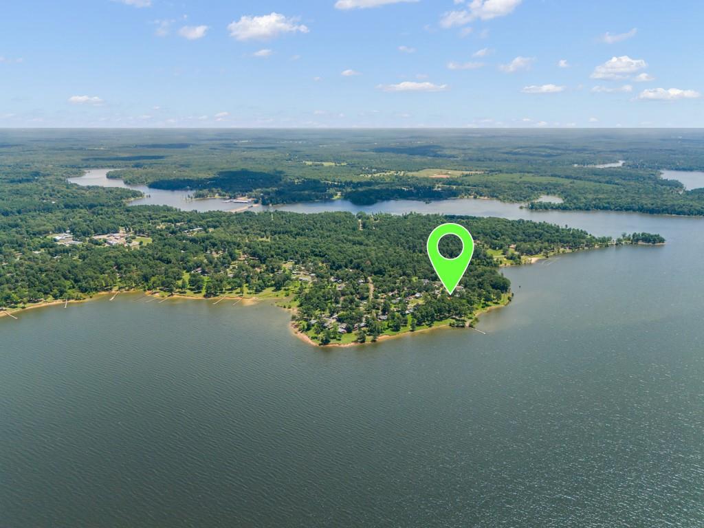 263 Crestwood Loop Avinger, TX 75630 - Photo 40 of 40 a view of a lake from a yard