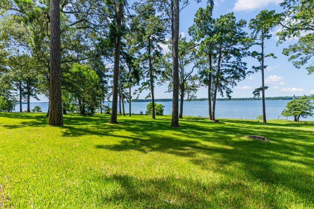 263 Crestwood Loop Avinger, TX 75630 - Photo 7 of 40 a view of three trees in a yard