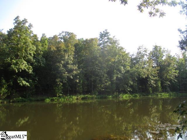1905 McKelvey Road Fountain Inn, SC 29644 - Photo 30 of 40 Gallery Image 30