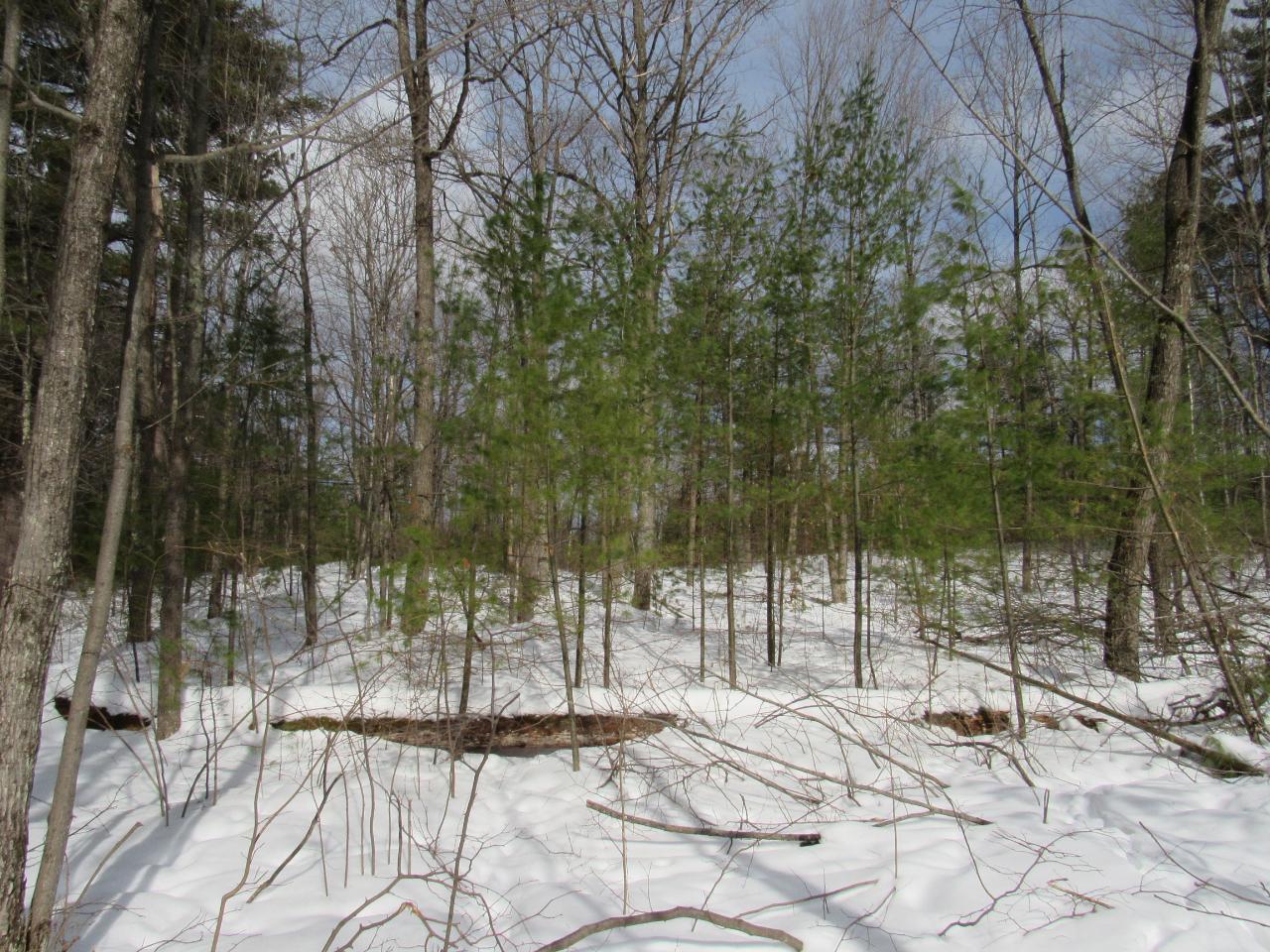 0 Bolger Lake Road Minocqua, WI 54548 - Photo 16 of 21 Gallery Image 16