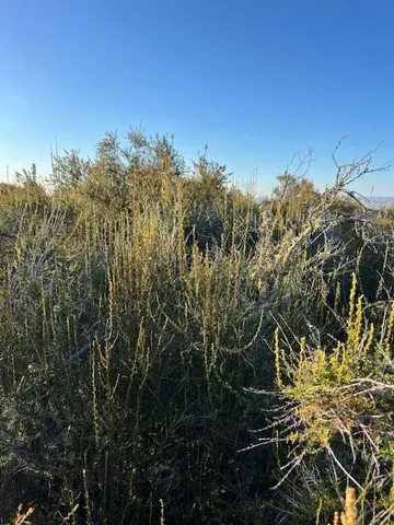 $190,000 | 0 Pine Canyon Road, King City, CA 93930