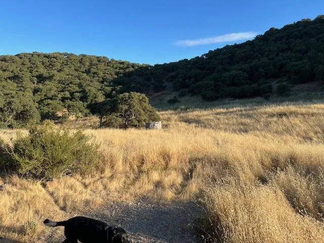 a view of outdoor space and mountain view