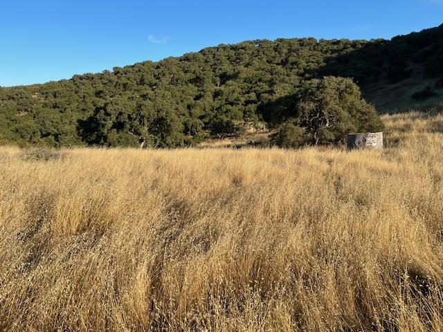 0 Pine Canyon Road King City, CA 93930 - Photo 6 of 12