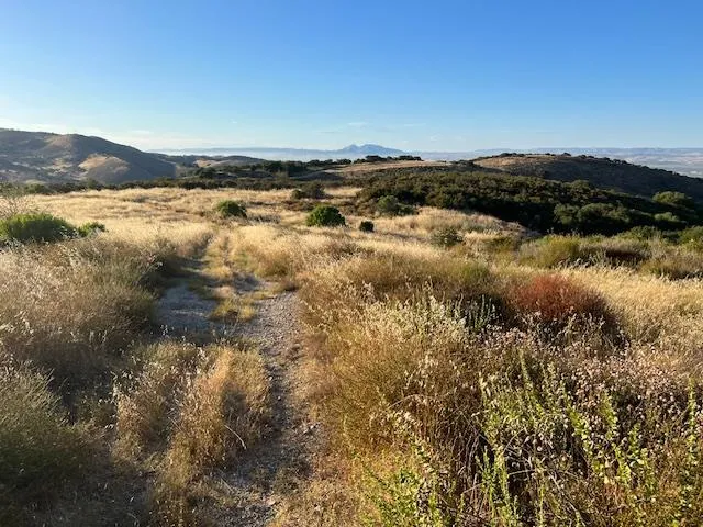 a view of a backyard with mountain