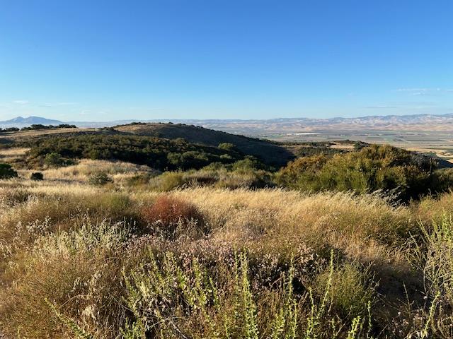 0 Pine Canyon Road King City, CA 93930 - Photo 10 of 12