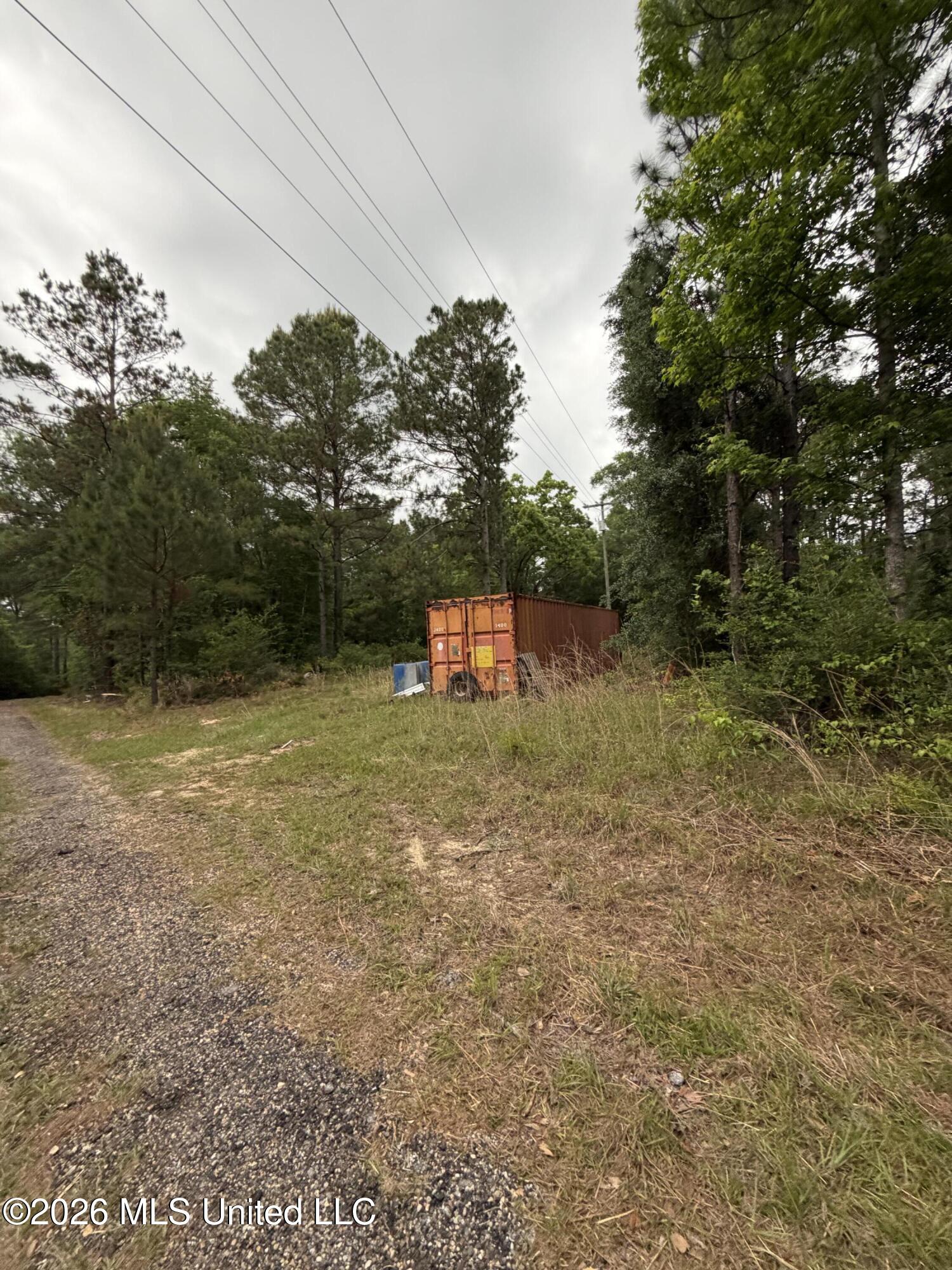 0 North Neely Avera Road Neely, MS 39461 - Photo 11 of 21 IMG_1252