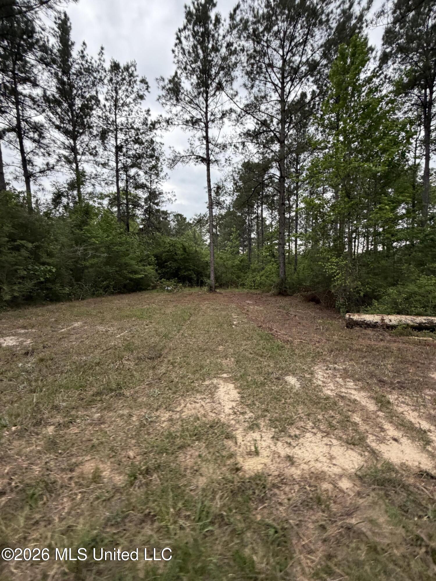 0 North Neely Avera Road Neely, MS 39461 - Photo 14 of 21 IMG_1276