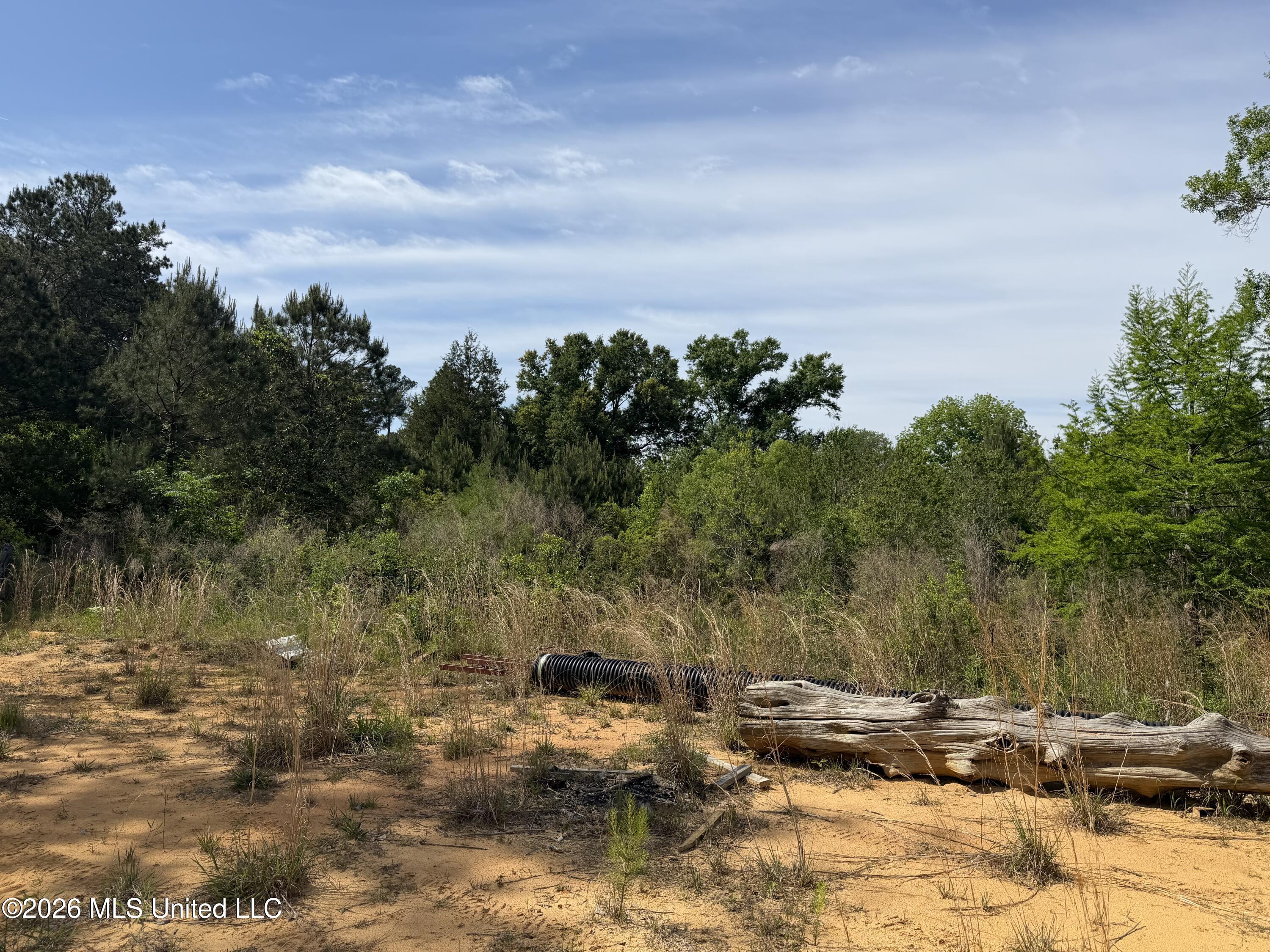0 North Neely Avera Road Neely, MS 39461 - Photo 18 of 21 IMG_1075 (1)