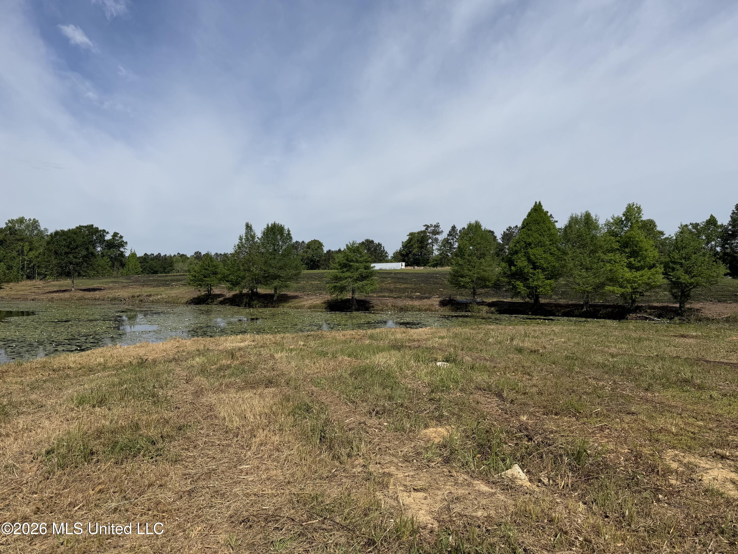 0 North Neely Avera Road Neely, MS 39461 - Photo 19 of 21 IMG_1079