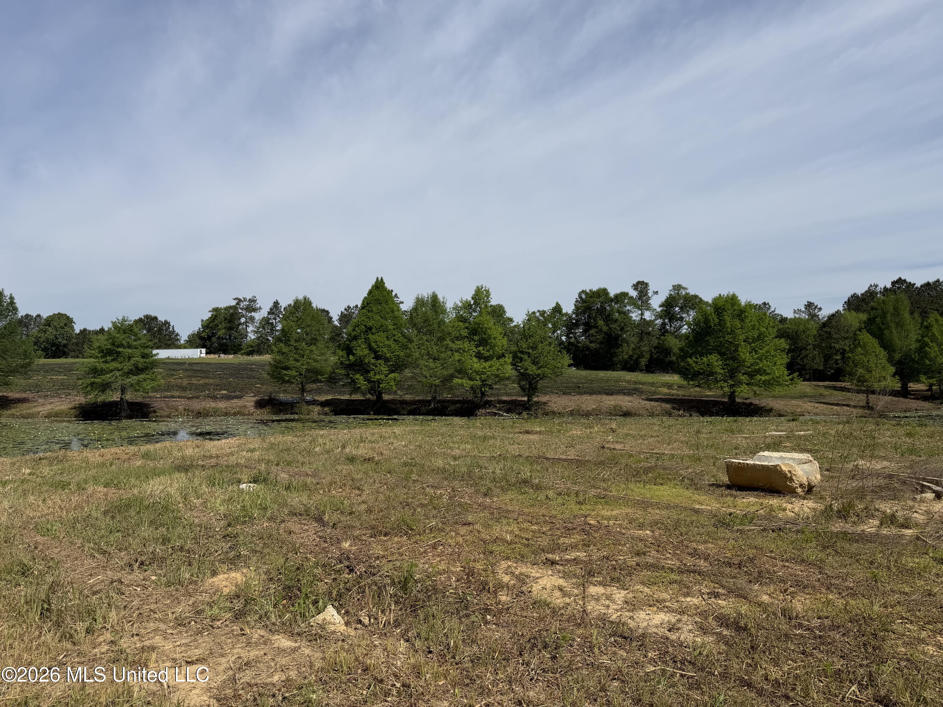 0 North Neely Avera Road Neely, MS 39461 - Photo 20 of 21 IMG_1080