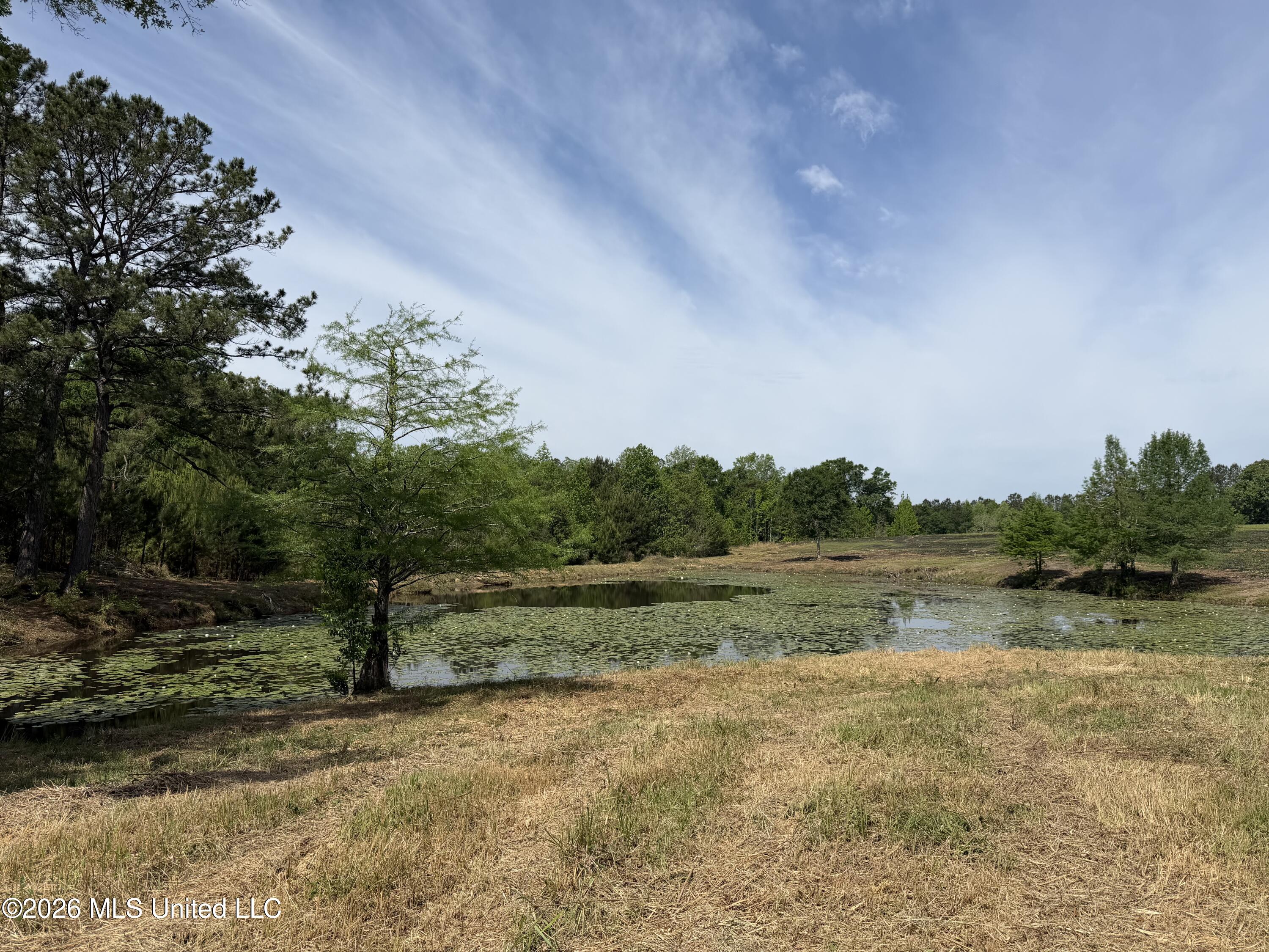 0 North Neely Avera Road Neely, MS 39461 - Photo 2 of 21 IMG_1078