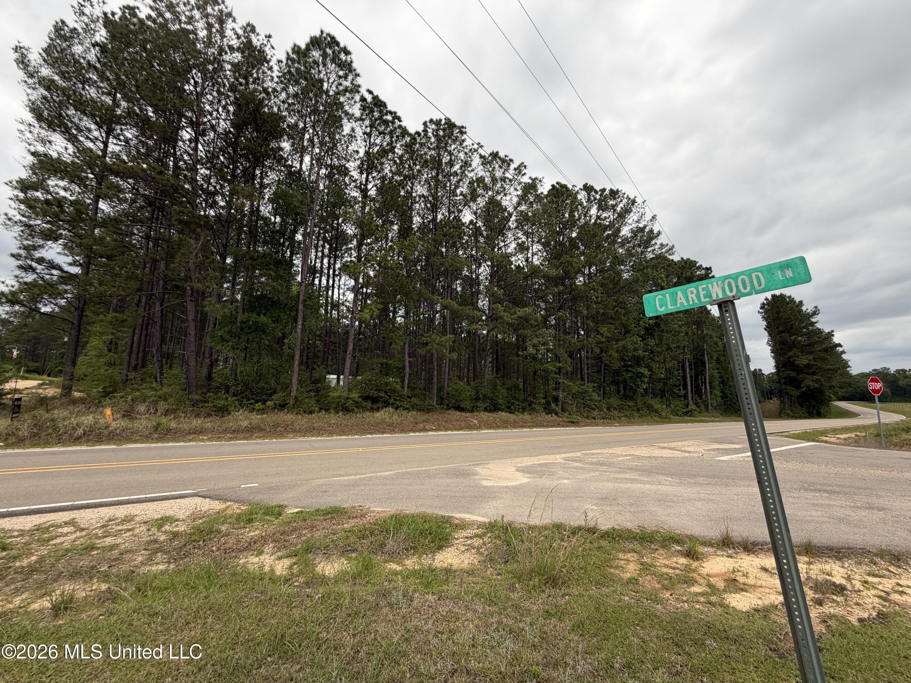 0 North Neely Avera Road Neely, MS 39461 - Photo 21 of 21 IMG_1248