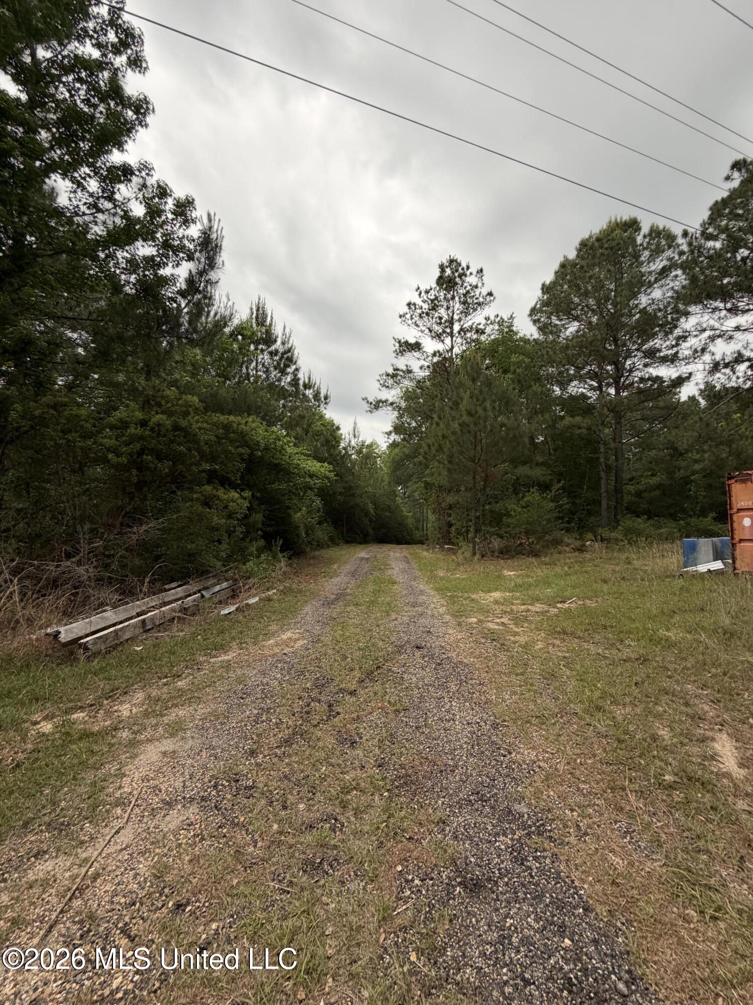 0 North Neely Avera Road Neely, MS 39461 - Photo 5 of 21 IMG_1251