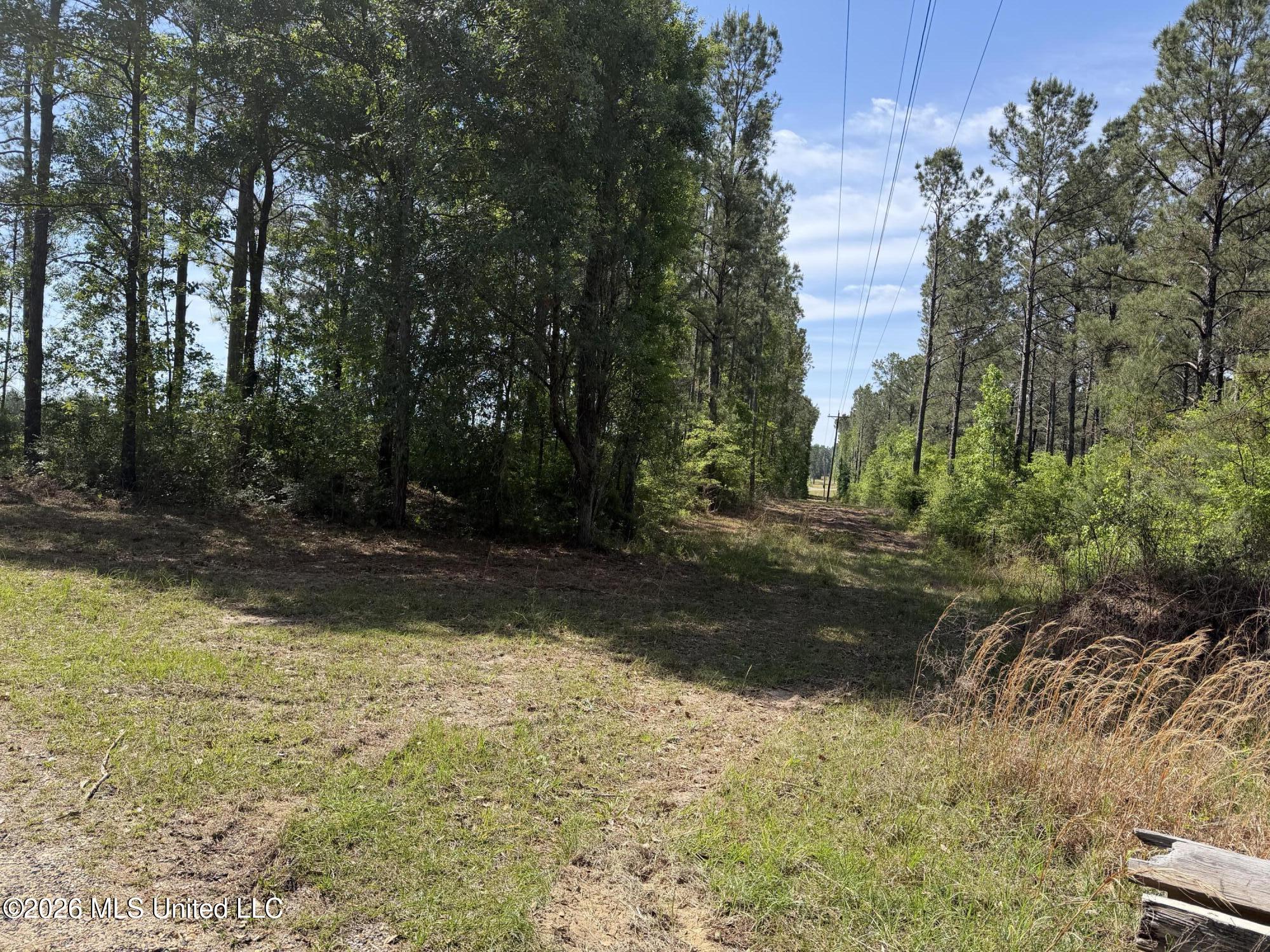 0 North Neely Avera Road Neely, MS 39461 - Photo 6 of 21 IMG_1065