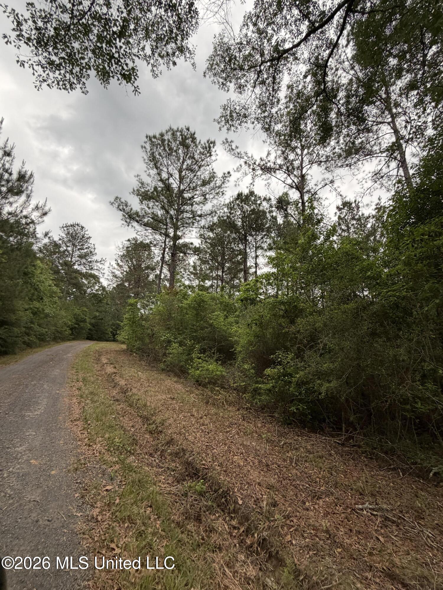 0 North Neely Avera Road Neely, MS 39461 - Photo 7 of 21 IMG_1275