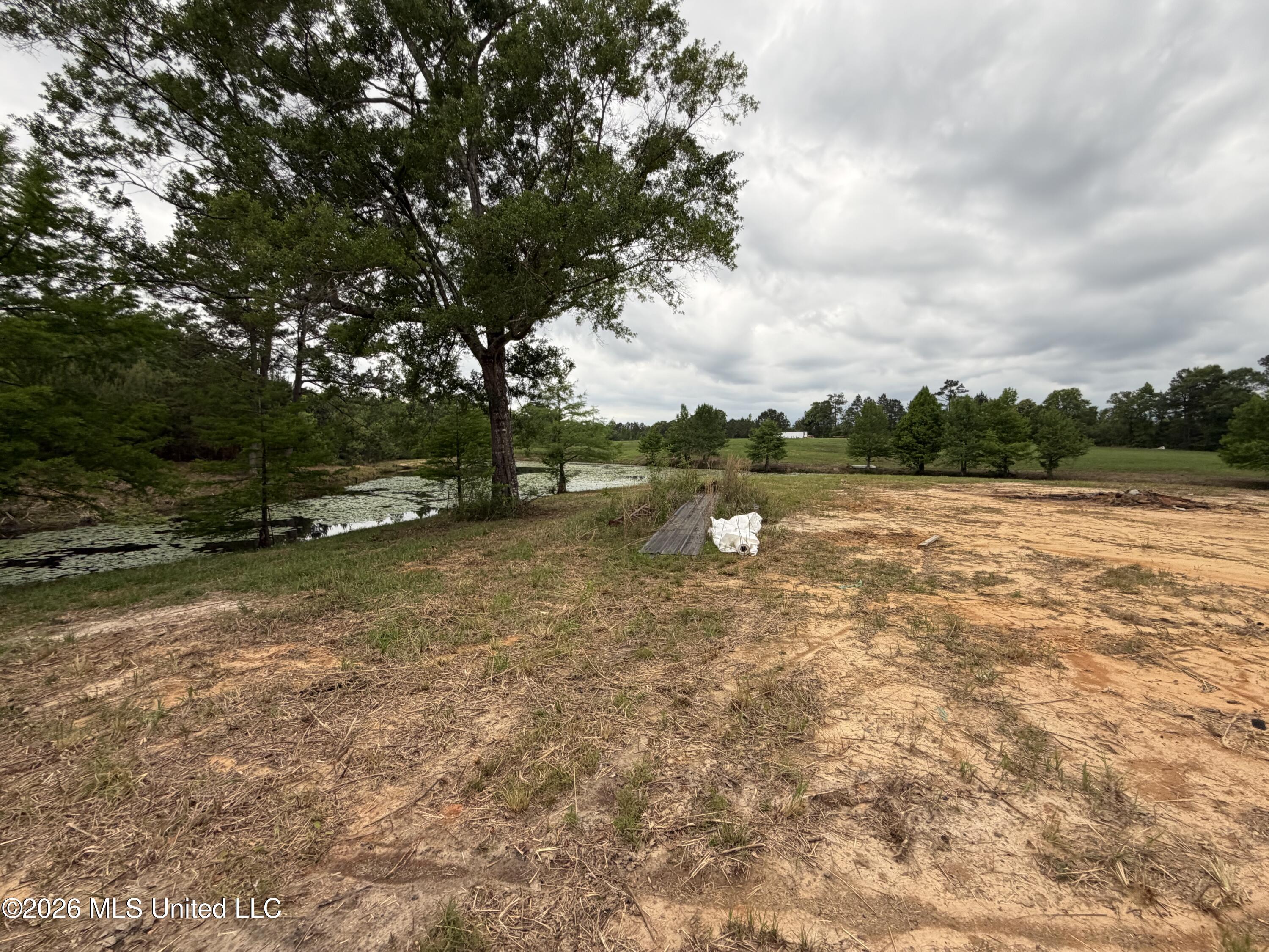 0 North Neely Avera Road Neely, MS 39461 - Photo 10 of 21 IMG_1268