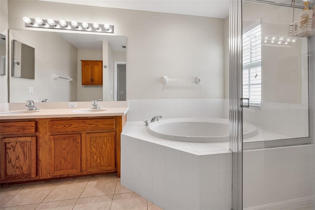 5628 Sea Turtle Court New Port Richey, FL 34652 - Photo 24 of 99 a bathroom with a bathtub sink and mirror