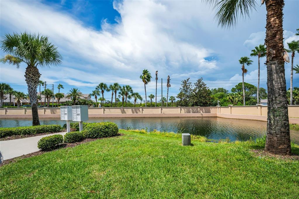 5628 Sea Turtle Court New Port Richey, FL 34652 - Photo 41 of 99 a view of a lake with a big yard