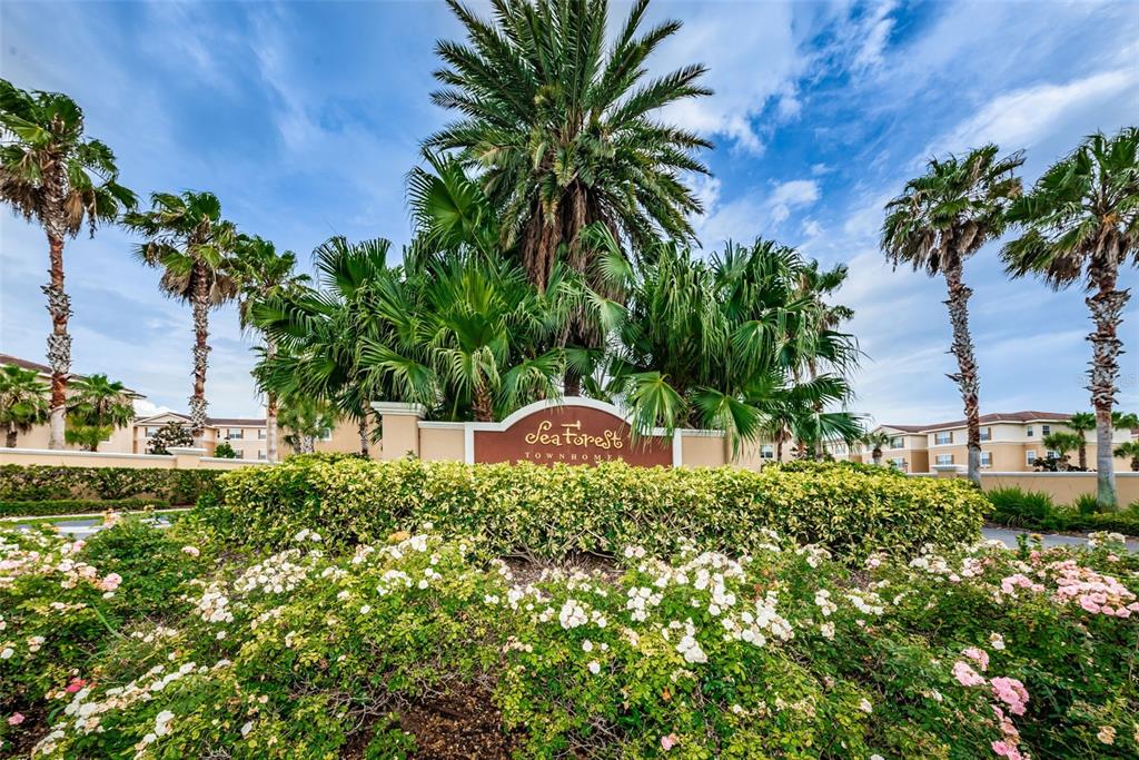 5628 Sea Turtle Court New Port Richey, FL 34652 - Photo 48 of 99