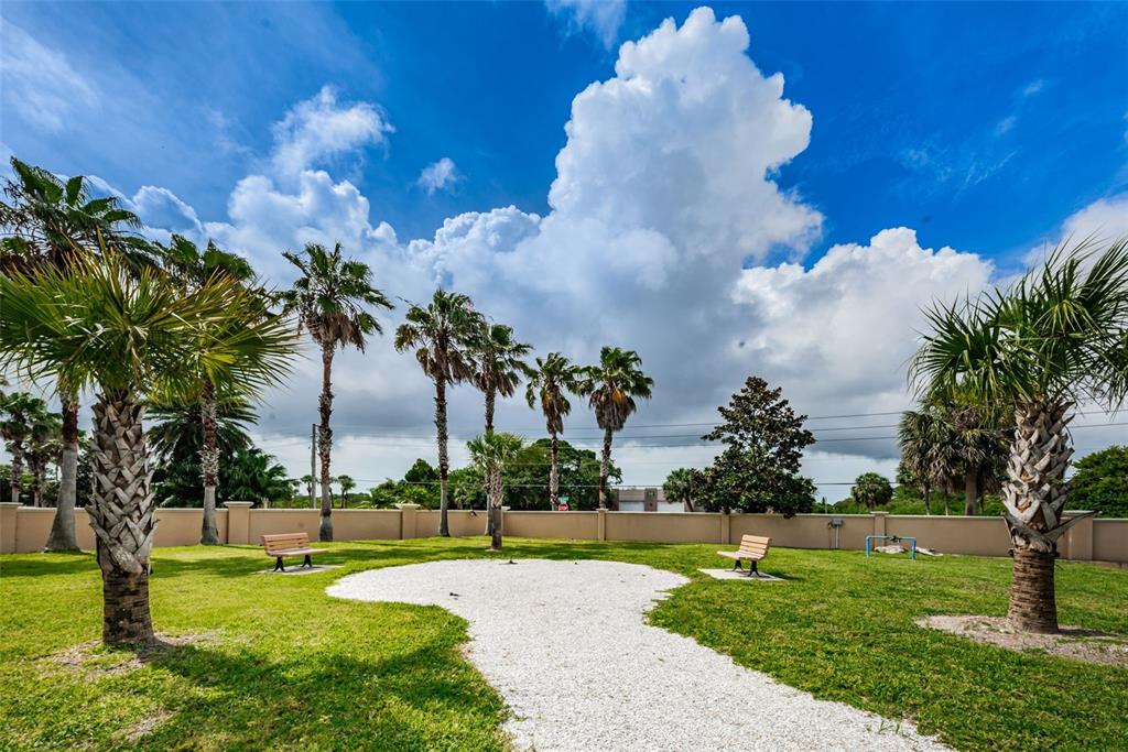 5628 Sea Turtle Court New Port Richey, FL 34652 - Photo 59 of 99 a view of a fountain in a yard with palm trees