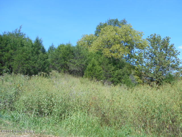 0 Wimsatt Road Loretto, KY 40037 - Photo 14 of 15 DSCN0211