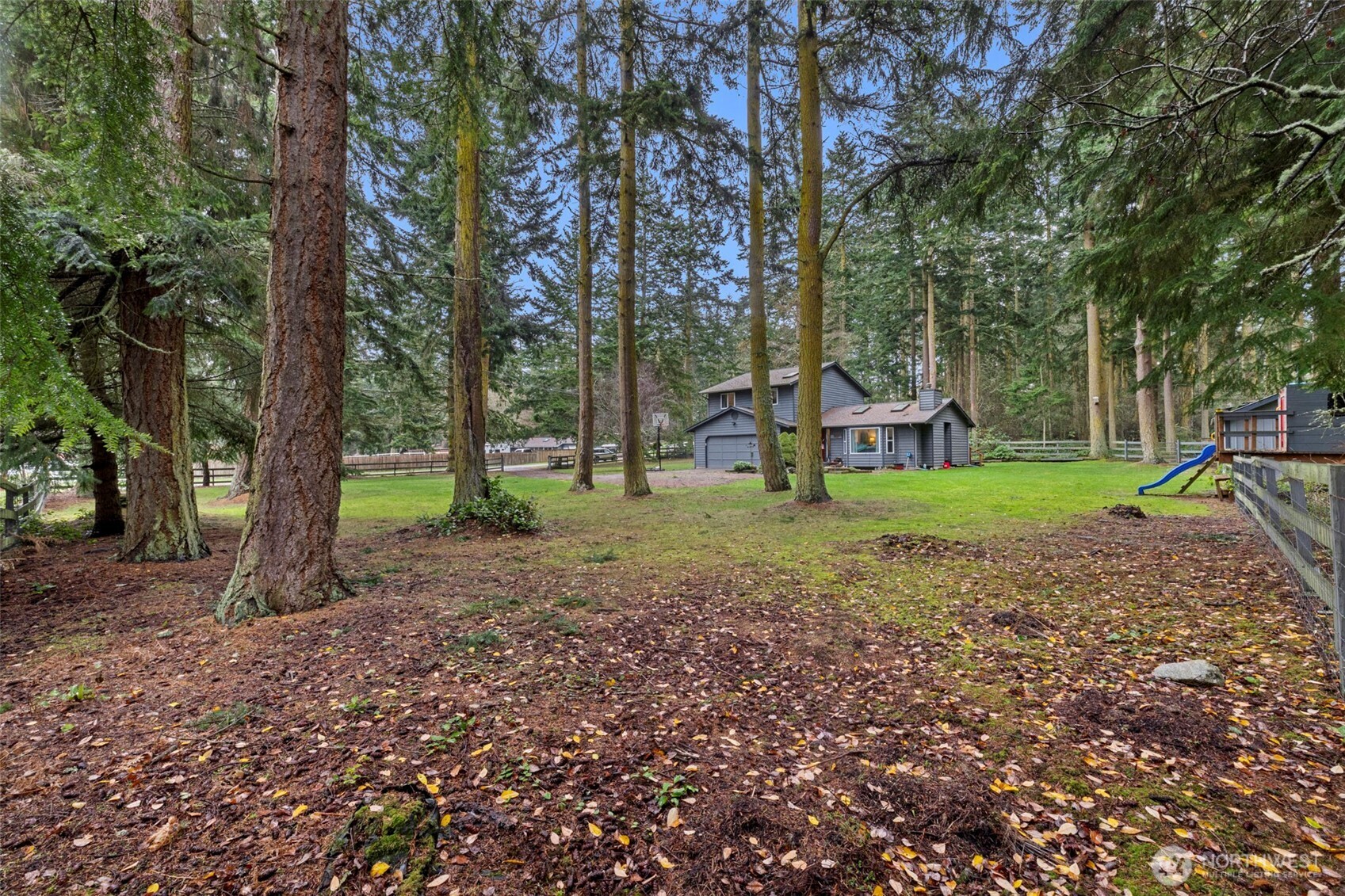 1991 Karen Road Oak Harbor, WA 98277 - Photo 3 of 40 a view of a backyard with large trees