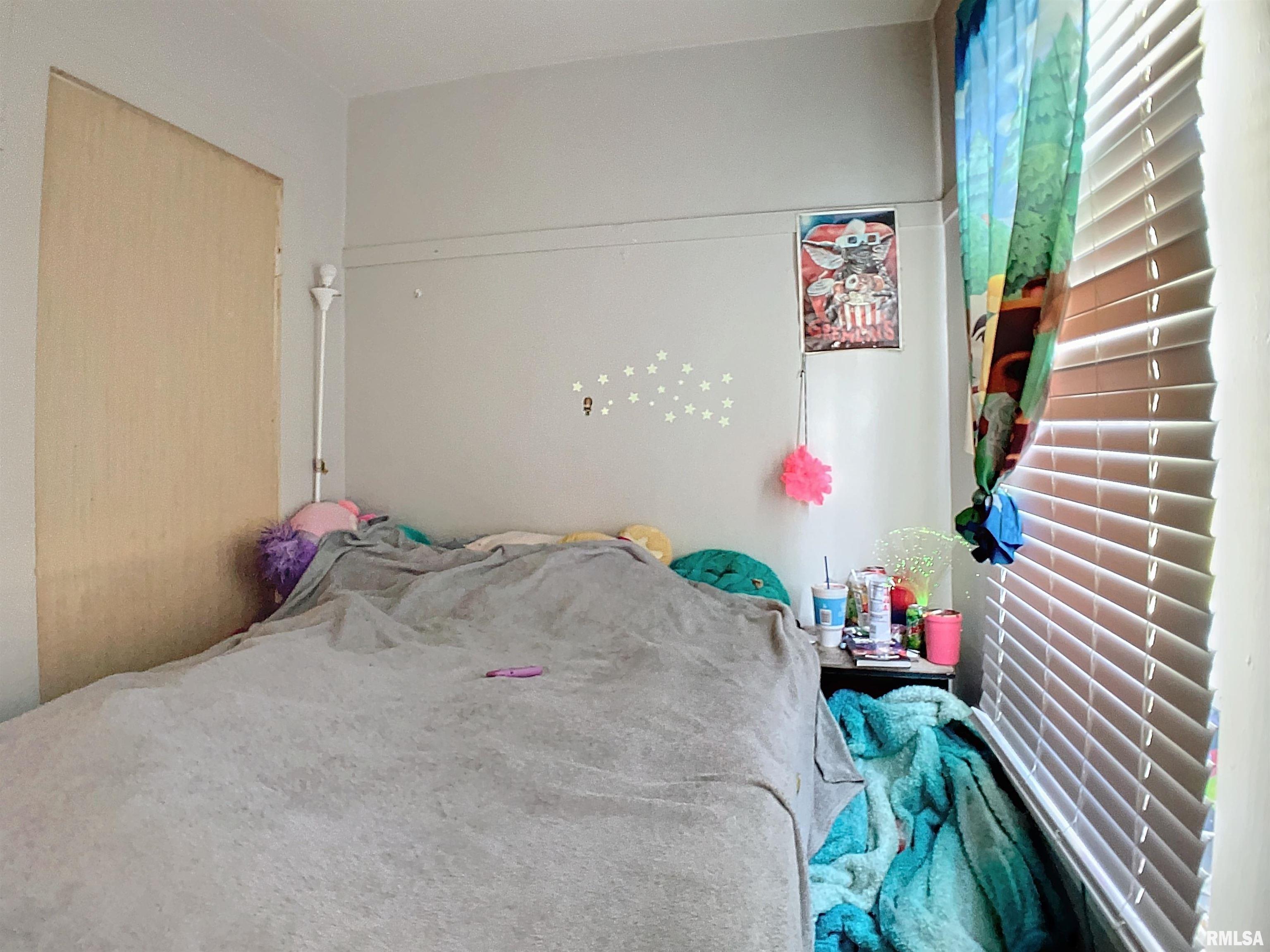 610 2nd Avenue Hampton, IL 61256 - Photo 11 of 28