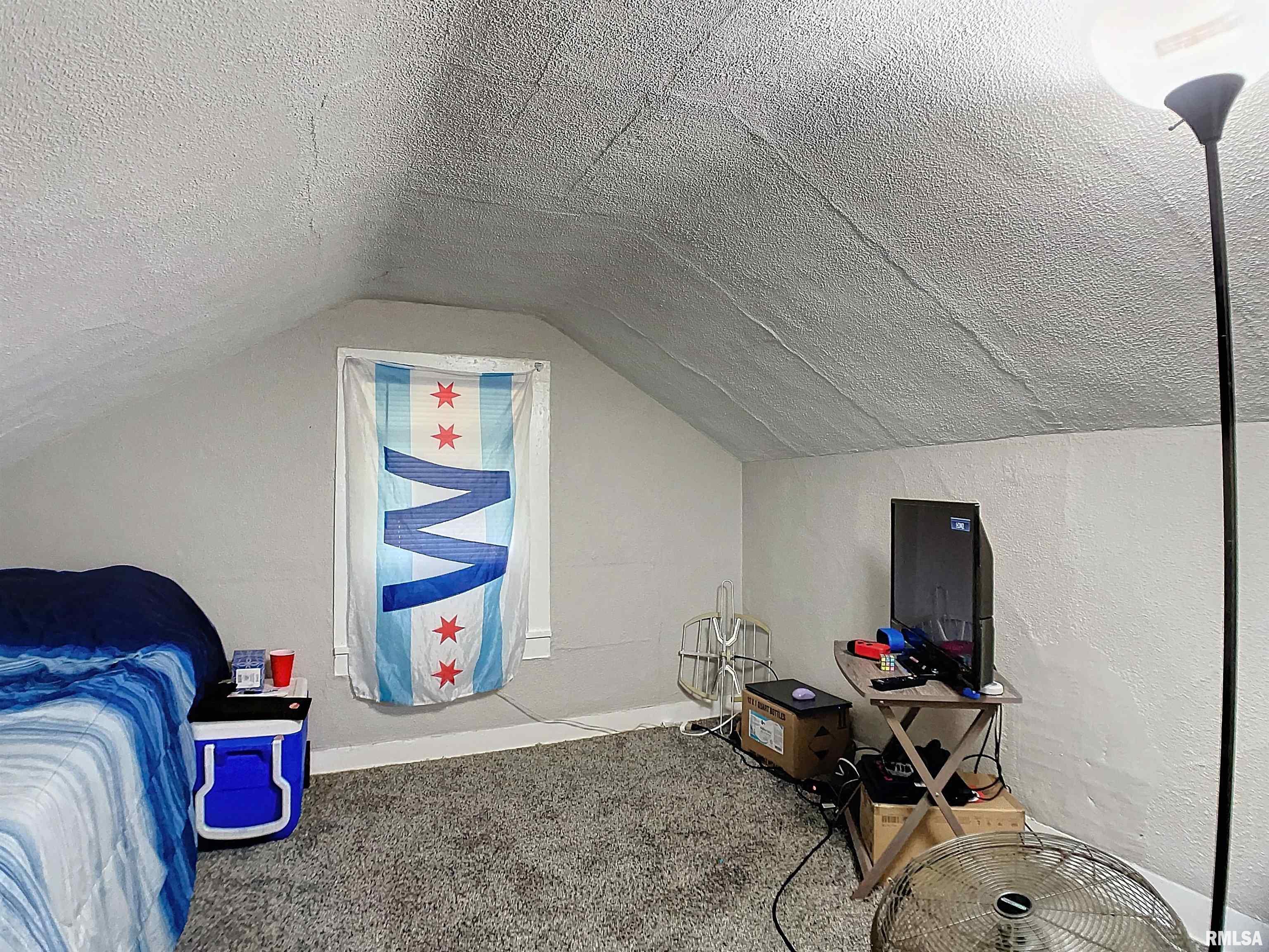 610 2nd Avenue Hampton, IL 61256 - Photo 19 of 28