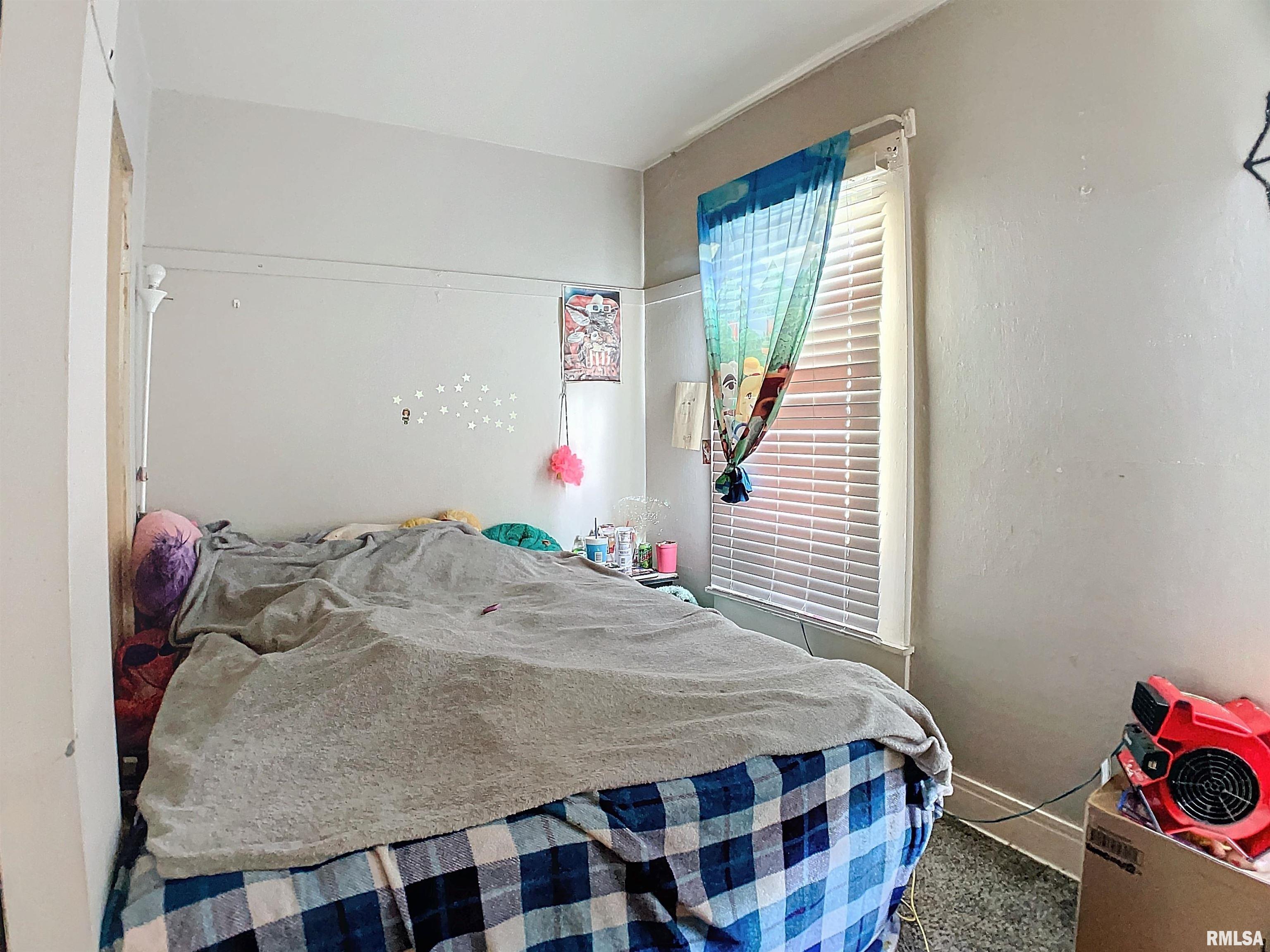 610 2nd Avenue Hampton, IL 61256 - Photo 10 of 28