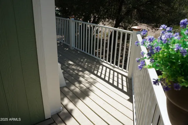 a view of a forest filled with trees