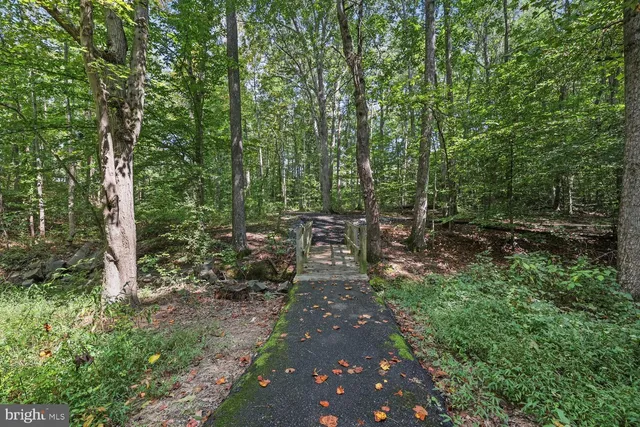 a view of a tennis court