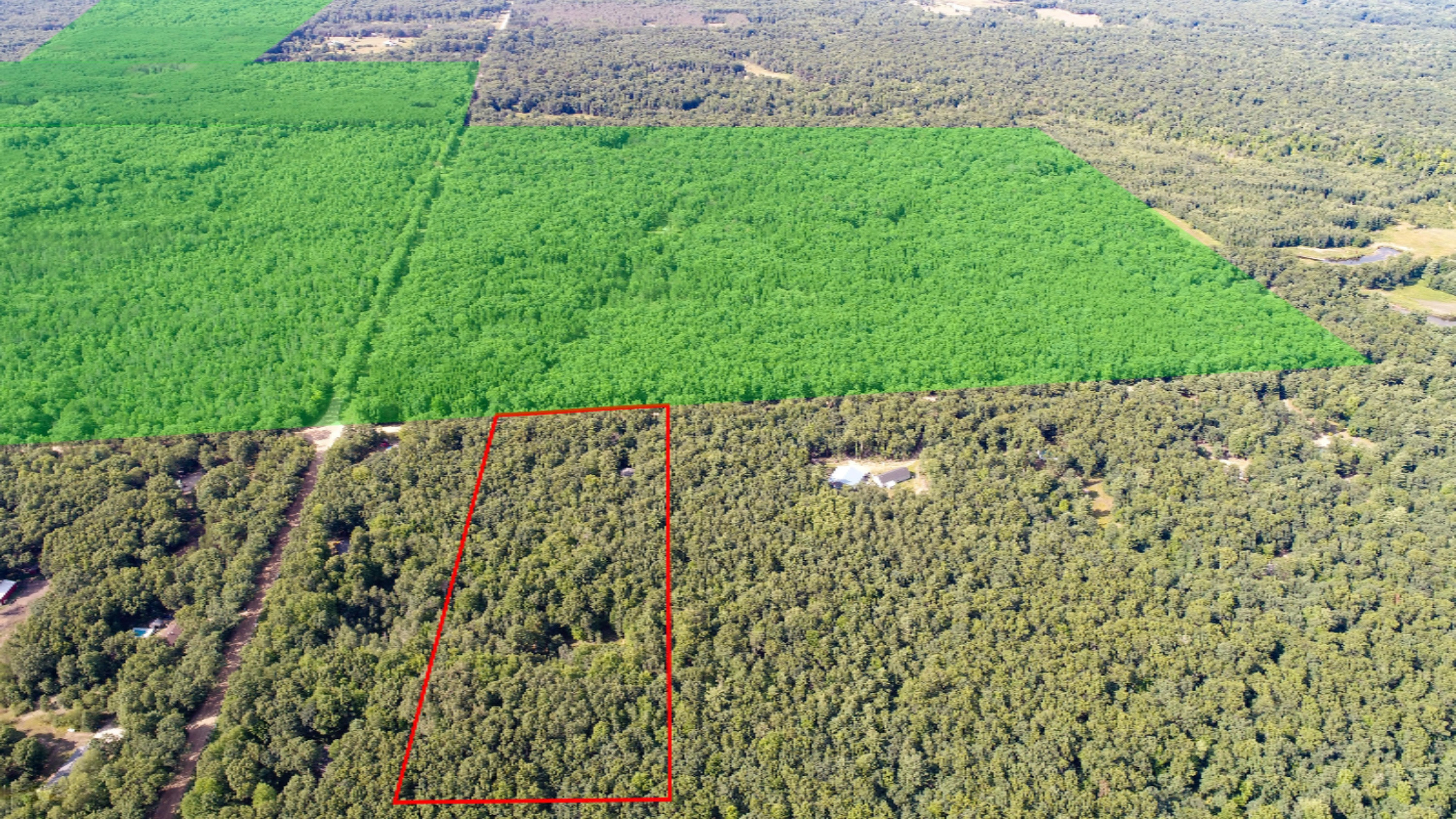 21907 North County Line Road Newaygo, MI 49337 - Photo 27 of 27 Property and State Land layout