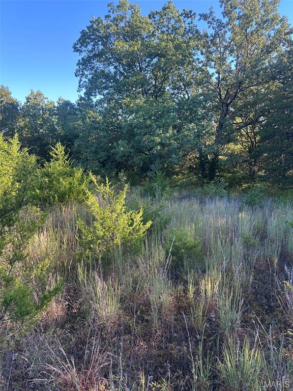 7653 Zimmerman Road Robertsville, MO 63072 - Photo 70 of 74