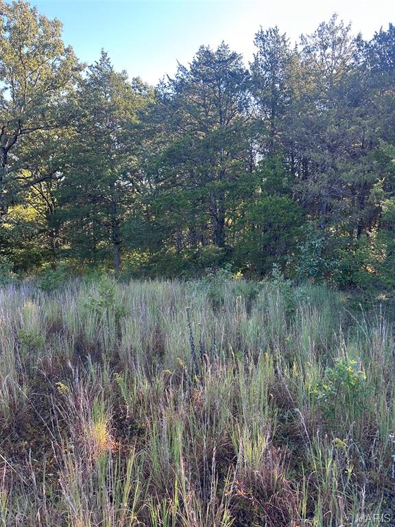 7653 Zimmerman Road Robertsville, MO 63072 - Photo 71 of 74