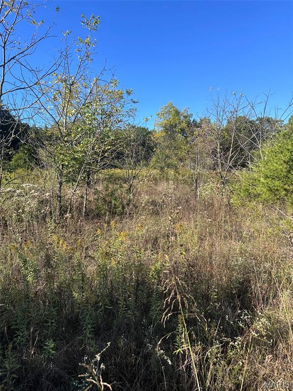 7653 Zimmerman Road Robertsville, MO 63072 - Photo 72 of 74