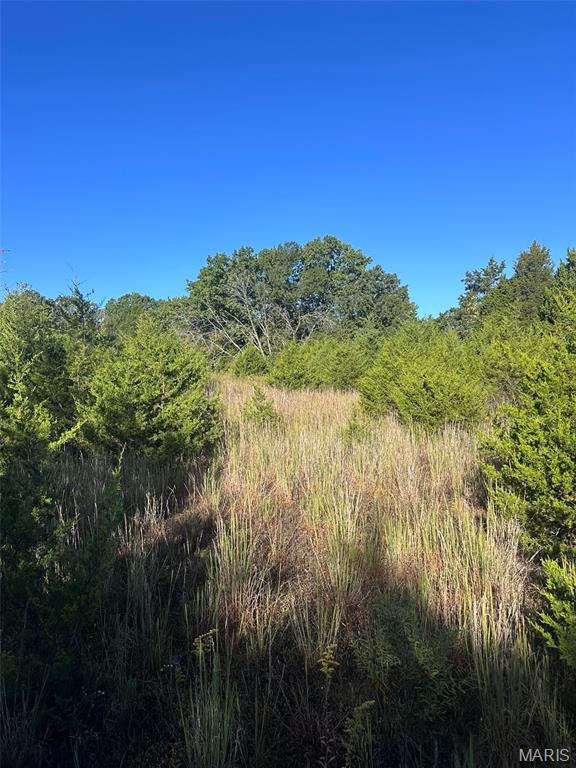 7653 Zimmerman Road Robertsville, MO 63072 - Photo 10 of 74