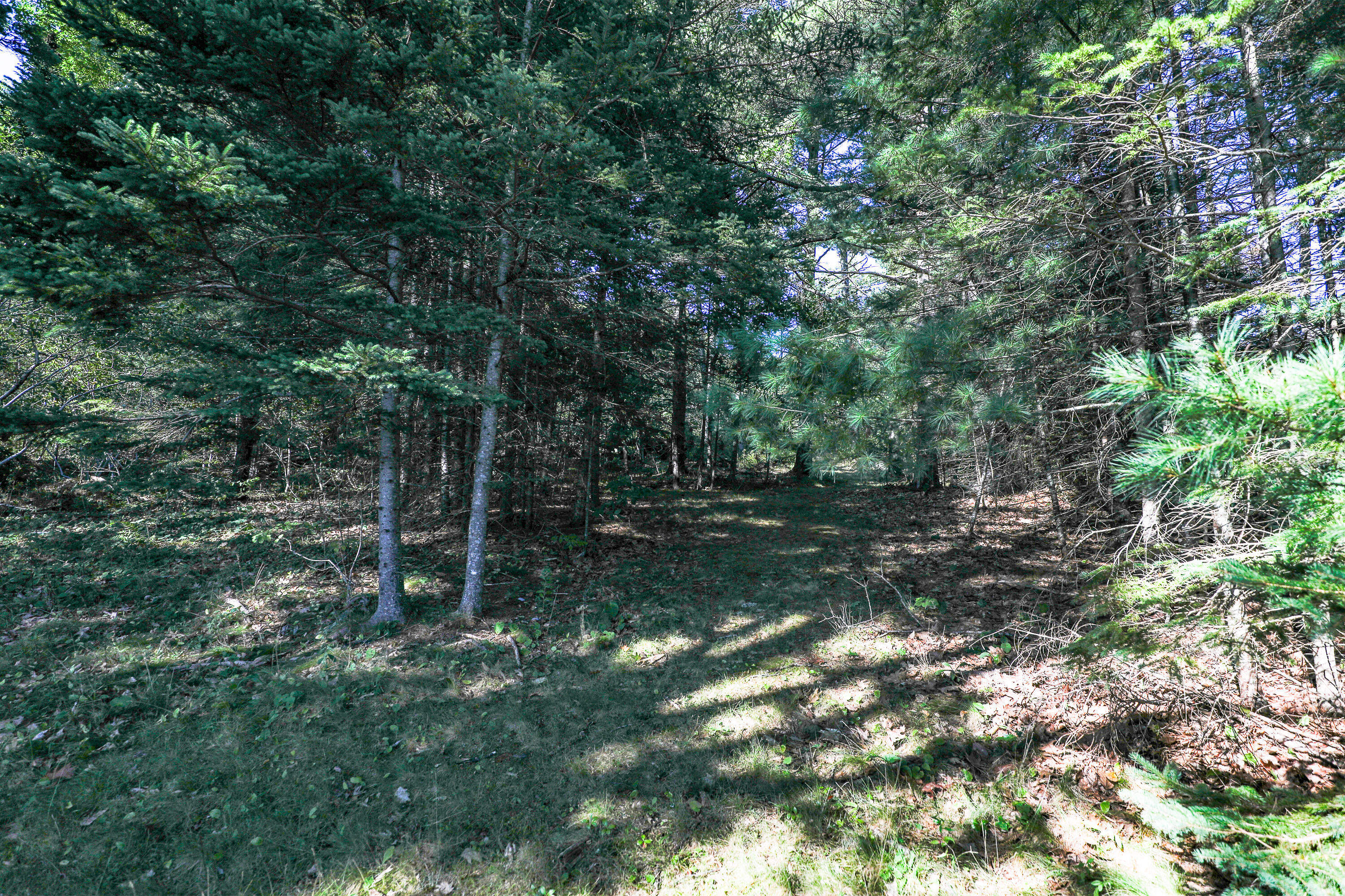 1022 Surry Road Surry, ME 04684 - Photo 5 of 6