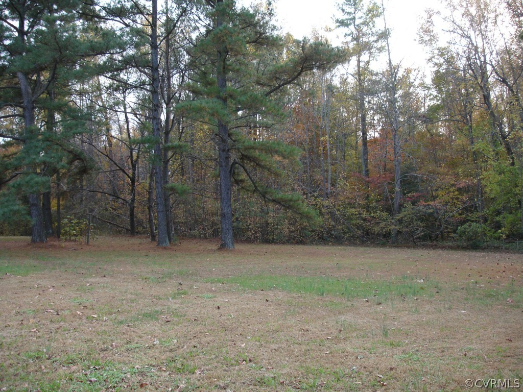 13267 Moody Road Hopewell, VA 23860 - Photo 6 of 24 What a beautiful piece of property - peaceful and