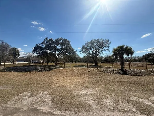 a view of a yard with a tree